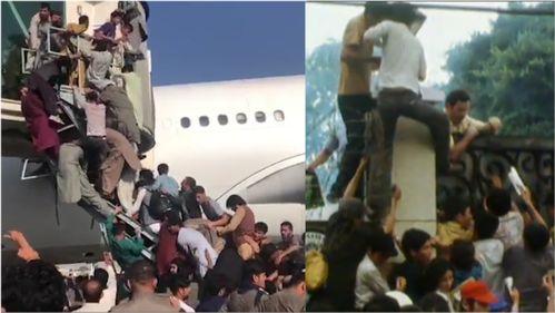 民众新瓜最新爆料视频,揭秘视频背后的惊人真相